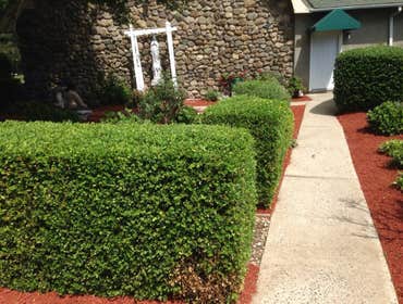 Photo(s) from Aguilar Landscape