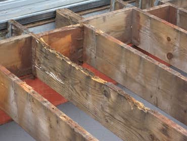 Rotted Framing Repairs