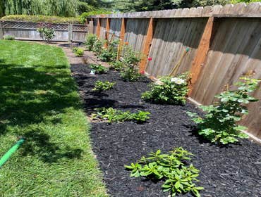 Photos by Rosales Garden and Tree Service #8