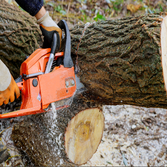 M&w Tree and Landscaping LLC