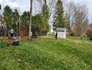 Photos by Green Point Tree Services & Landscaping #7