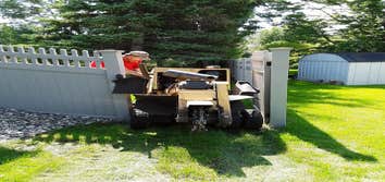 Paul's stump removal