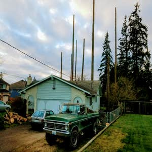 Photos from Lineage Tree Care