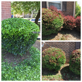 AP Landscapers, Lawn Care & Landscaping Service