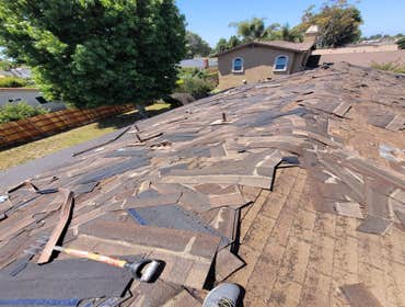 Photos by Roof Land #1