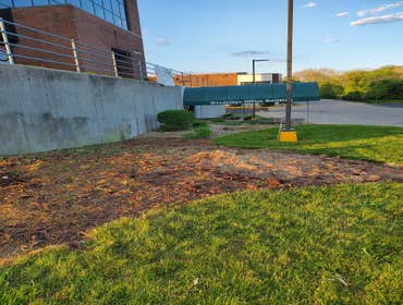 Photos by Junior Landscaping #1