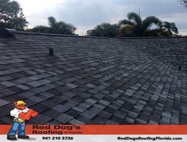 Photos by Red dog's Roofing of Florida #1