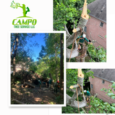 Photos by Campo Tree Service LLC #4