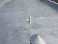 Recent work Copper, Tin, Slate Roof Repairs & Maintenance. Flat roofs, all Paint & Coatings.