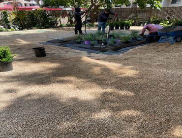 Photos by Francisco Landscaping & Gardening #3
