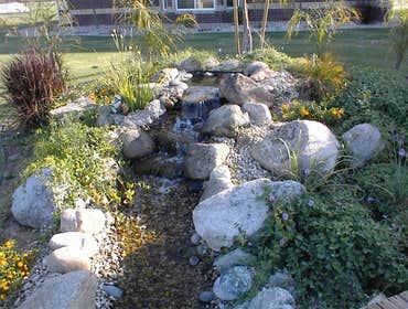 Water Feature 1