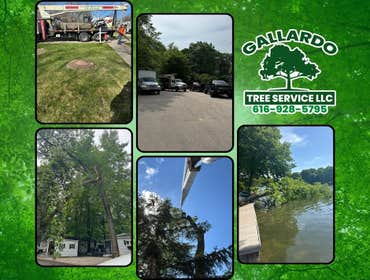 Photos by Gallardo Tree Service LLC #8