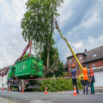Bristow Tree Service