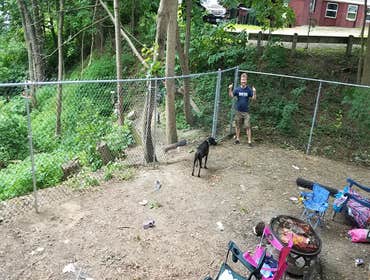 Photos by Let Steve Do It Fences Installed and Repair #2 Happy Satisfied Fence Customers