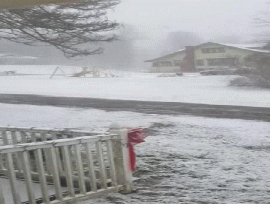 Snow 2016
