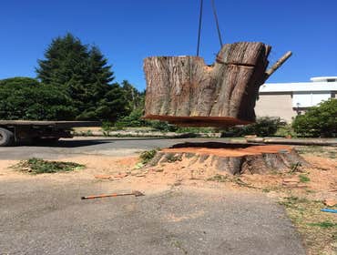 Photo(s) from Justin L Foss Tree Service