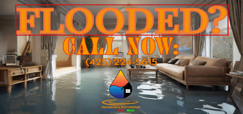 Pro Water & Restoration