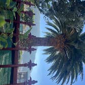 Photos by Ms Tree Services #1