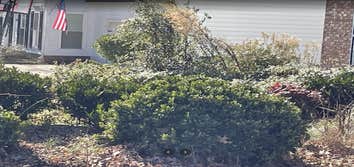 Photos by Golden Rose Landscaping LLC #2