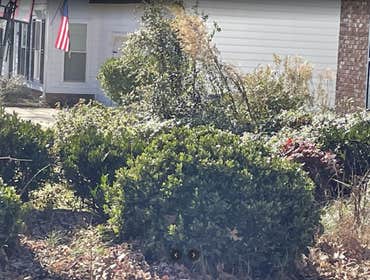Photos by Golden Rose Landscaping LLC #2