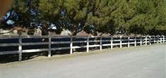 Fences