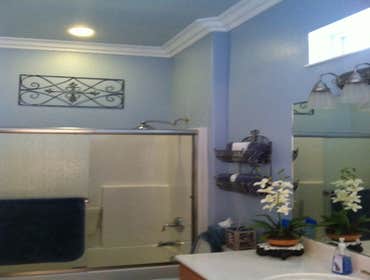 Elite Custom Painting And Decorating Project