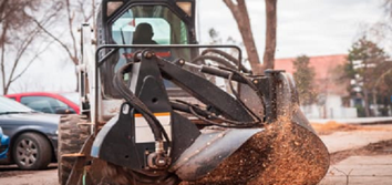Ava Tree Services