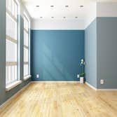 Murillo Painting Services