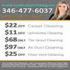 Friendswood Tx Carpet Cleaning logo