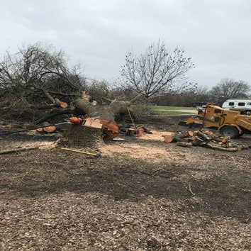 Excellent Prices Tree Services