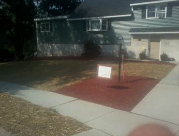 new front lawn