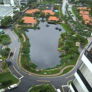 Gator Roofing and Construction