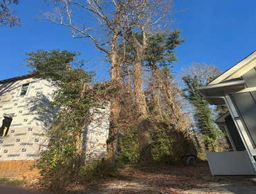 Photos by Kings Tree Service & Landscaping Co #24