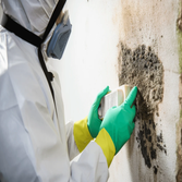 Photos by Rhino Water Damage & Mold Removal of La Jolla #1