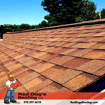 Red Dog's Roofing LLC