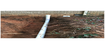 Repair of Septic Line