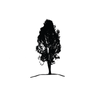 Desert Oak Development logo