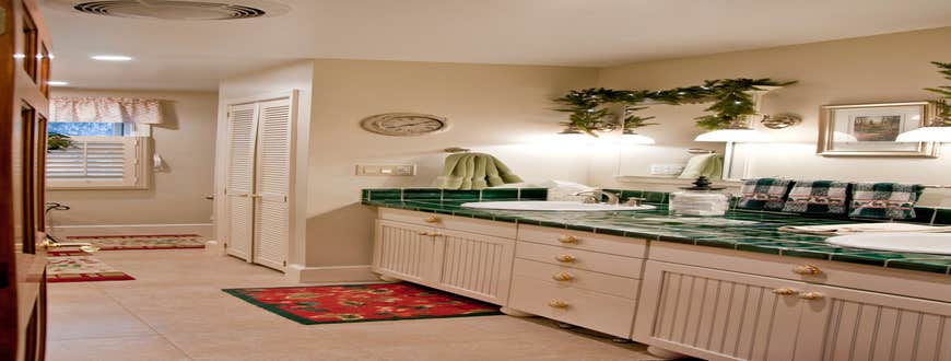 Transitional Master Bathroom