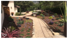 Photos by Foothill Nursery & Landscape Inc #1