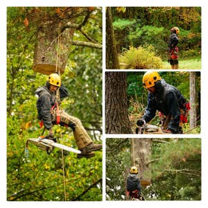 Photos by America Tree Services #1