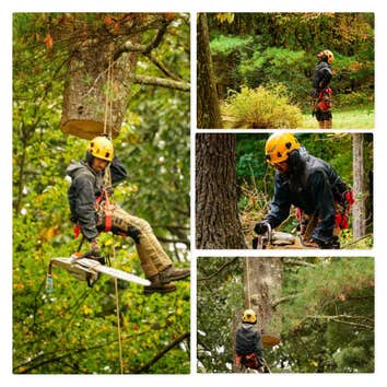 Photos by America Tree Services #1