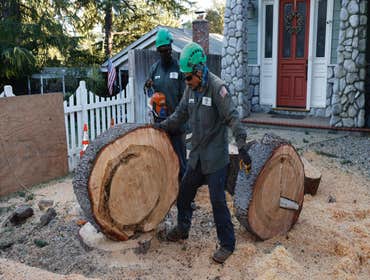 Photos by California Green Tree Care #1