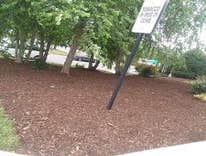 Photos by Morales Landscaping Services, LLC #1