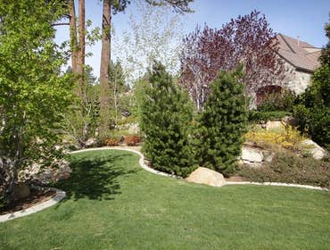 Photos from Millennium Gardens LLC