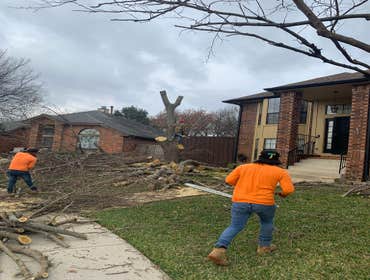 Photos by K-perez Tree Services #1