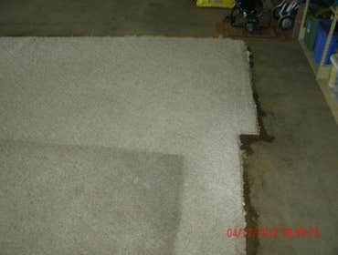 Stevens Point, WI carpet clean