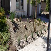 Xeriscape & Dry Creek Xeriscape & Dry Creek
