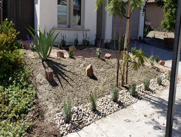 Xeriscape & Dry Creek Xeriscape & Dry Creek