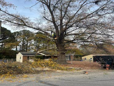 Flores Tree Services General & Landscaping