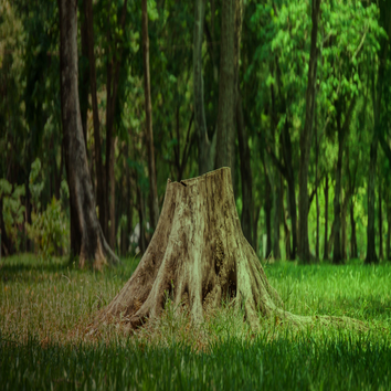 Angeles Landscaping and Tree Service Inc